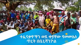 ተፈናቃዮችን ወደ ቀያቸው የመመለስ ጥረት በቤኒሻንጉል