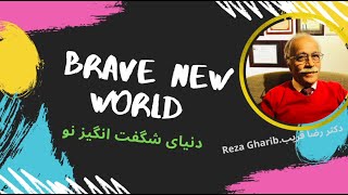 Brave new world   دنیای شگفت انگیز نو