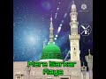 Mere Sarkar Aaye Eid Milad un Nabi Whatsapp Status#shorts