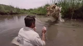 Lioness leaps for hug