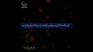 Quran kareem | قران كريم |اسلام صبحي | Islam Sobhi | Quran whatsapp Status