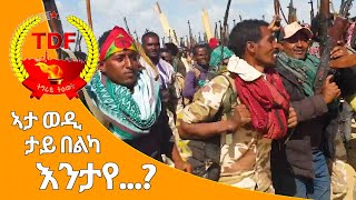 ኣታ ወዲ ታይ በልካ እንታየ...?TDF on the move #FELEMA_ENT #TegaruUnited #TigrayWillPrevail .