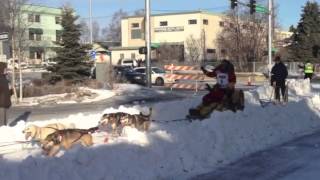 Iditarod 2014