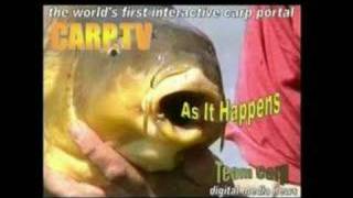 http://www.carp.tv  as it happens issue 1 trailer