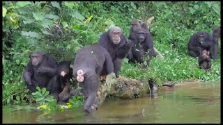 Agabuutikidde  ESSANYU LIBUGAANYE AMAZIIKE KU KUUMIRO LYAAGO OLW’OKUGAGABULA SSEKUKKULU