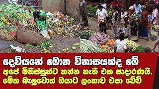 අපේ මිනිස්සුන්ට කන්න නැති එක සාදාරණයි. මේක බැලුවොත් ලංකාව එපාවේවි