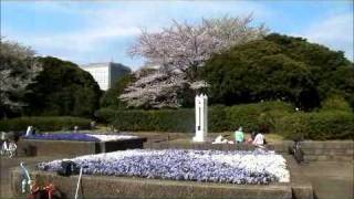 20110410千葉みなと公園