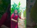 എന്റെ മോൾടെ dance 💗 trending dance dancecover dancer arm