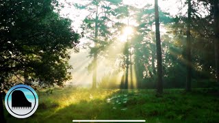 Instrumental Piano | 4 Compositions with Nature Sounds by Drew Ley