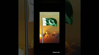 Happy Independence day 💚🇵🇰| Pakistan Zindabad 🇵🇰 | 14 August status💚🇵🇰💚 | #youtubeshorts #14august