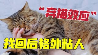 猫跑丢被找回后变得格外粘人！