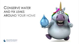 Leaks Are Like Unicorns