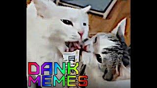 ABRUPT Memes Compilation