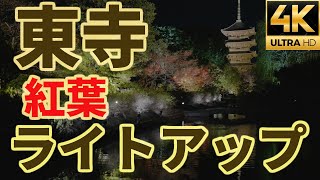 【α7SⅢ】【4K】東寺(京都)紅葉ライトアップ2020