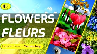 🌼🌸🌺Floral Elegance: English and French Flower Names to Enrich Your Vocabulary