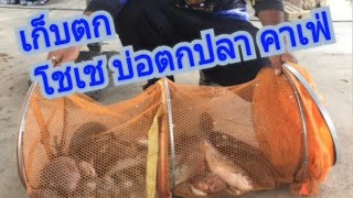 ตกชิงหลิวEP.61 เก็บตก บ่อ โชเช บ่อตกปลาคาเฟ่