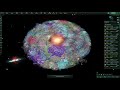 stellaris 2000 stars timelapse with 80 empires 50 hours