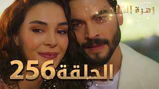 مسلسل زهرة الثالوث - الحلقة  256 | مدبلج | الموسم الثاني - الحلقة الأخيرة