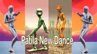 Patila Missed The Stranger // Patila New Dance / Frog Dance