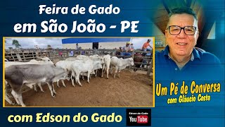 FEIRA DE GADO EM SÃO JOÃO - PE, COM EDSON DO GADO - 24-02-2025.