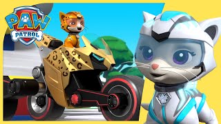 Cat Pack Stops a Giant Ball of Yarn 🧶 + More Cartoons for Kids | PAW Patrol