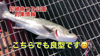 ハネ好調です♪尼崎魚つり公園fishingmax武庫川店