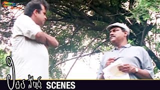 Kota Srinivasa Rao Trolls Brahmanandam | Little Soldiers Telugu Movie Scenes | Giri Babu | Sudhakar