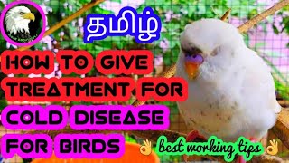 how to give treatment for cold disease for birds | tamil | more about pets | MAP |