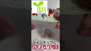 カニにケーブルが切られちゃう！？ 【YELL ケーブル ちょっきん しようかに2】