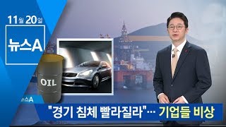 “경기 침체 빨라질라”…파업 앞두고 기업들 비상 | 뉴스A