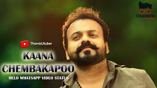 Kaana Chembakapoo | Whatsapp Helo App Love Video Status | Shikkari Shambhu | ThamizUtuber