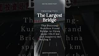 The World's Largest Bridge