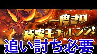 【パズドラ】一度きり精霊王チャレンジ火～追い討ち必要