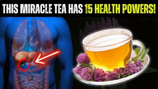 This Tea is a Miracle! 15 Health Benefits of Red Clover!