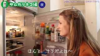 Fridgeezoo24 ～サムガリネコ編～