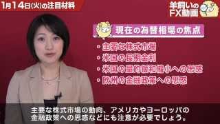 羊飼いのFX動画「本日の為替相場の材料」1月14日（火）