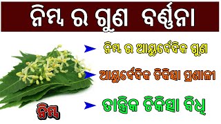 ନିମ୍ବ ପତ୍ରର ଆୟରର୍ବେଦିକ୍ ଗୁଣ ଏବଂ ତାର ଚିକିତ୍ସା  ଏବଂ ଉପକାର ବିଷୟରେ Benefits Of Neem ||  Healthy Tips