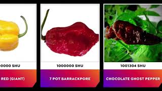 27 Hottest peppers in the world 2022 comparison