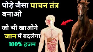 पाचन तंत्र मजबूत करने का तरीका।how to improve digestive system