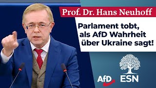 Parlament tobt, als AfD Wahrheit über Ukraine sagt! - Prof. Dr. Hans Neuhoff (AfD)