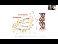 nucleic acid memory tips and intuition