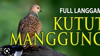 langgam kutut manggung campursari kondang murah.