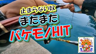 【沖縄釣り】またまたバケモノ喰って来た！絶対捕れない奴！沖縄釣武士撃沈釣行記2025