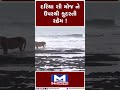 shorts દરિયા શી મોજ ને ઉપરથી કુદરતી રહેમ mantavyanews