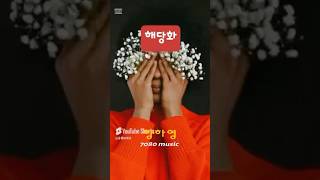 🌸50대~좋아할 노래 추천곡🎻7080년대 Best노래 💝해당화 #music #7080 #kpop