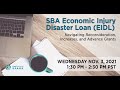 SBA EIDL Update: Navigating Reconsideration, Increases, and Advance Grants