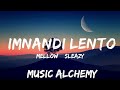 Mellow & Sleazy x SjavasDeejay x TitoM - Imnandi lento (Lyrics) feat. Tman Xpress  | 25mins - Feel