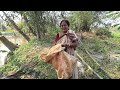 সুন্দরবন পুকুরে জাল দিয়ে কি কি মাছ ধরলো what fish were caught with a net in the sundarbans pond