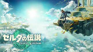 【ゼルダの伝説 ティアーズ オブ ザ キングダム】完全初見プレイ #37