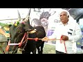 khillar dangi and devni cows of maharashtra by milind deval ji at world cow conference pune